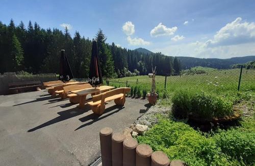 Oberschoenau Hotel | Appartements und Ferienhaus Gasthof Kanzlersgrund