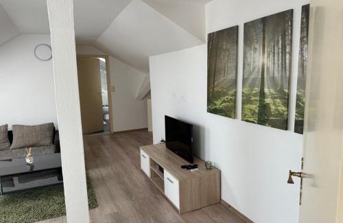 Plauen Apartment | Appartment mit Aussicht
