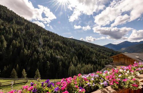 Sarentino Apartment | Apt Bergblick Hinterproslhof