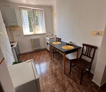 Petrosani Apartment | Apt Iasmina 2 Universitate