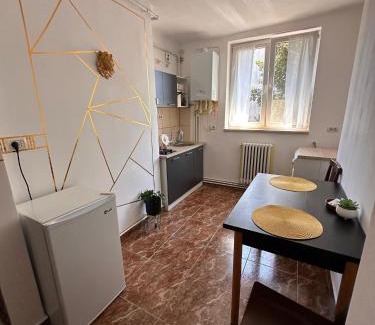 Petrosani Apartment | Apt Iasmina 2 Universitate