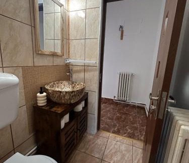 Petrosani Apartment | Apt Iasmina 2 Universitate