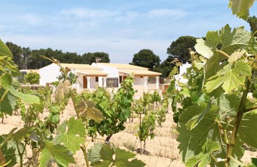 Sant Francesc Xavier House | Aptos rurales Can Pep de Sa Barda - Viñedos y tranquilidad