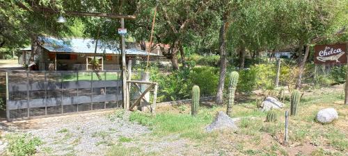 Catamarca Ski Chalet | La Chelca