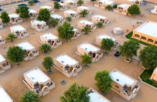 Bidiya Other | Arabian Oryx Camp
