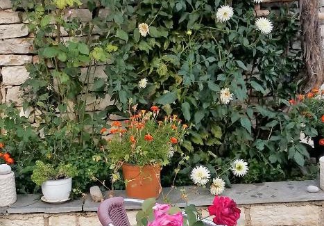 Vitsa House | Archontiko Evridikis