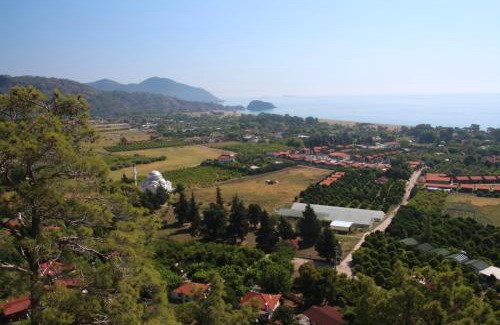 Cirali Cabin | Armina Pension