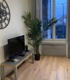 Faubourg-Raines Apartment | ARQUEBUSE proche gare