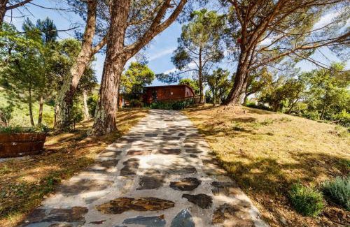 Castelo de Paiva House | Arrabia Bunga Douro