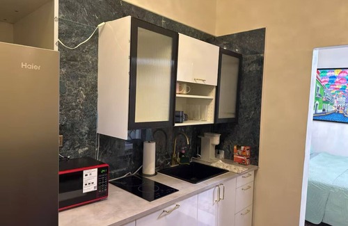 San Juan Apartment | Art Floral Studio with Kitchen, KING Bed, Washer/Dryer, WIFI in Old San Juan