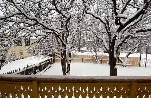 Bakuriani House | ArtVilla Bakuriani