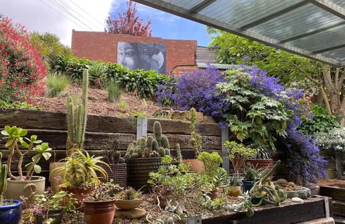 West Hobart House | Arty Californian Bungalow Home in the Heart of Hobart