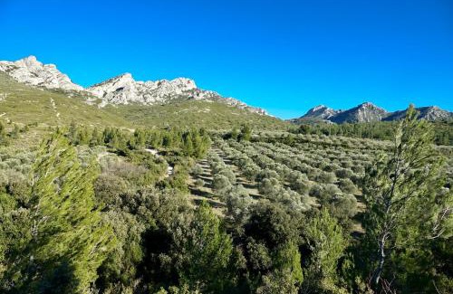 Saint-Etienne-du-Gres Bed & Breakfast | Arty Provence, vue, calme et piscine chauffée dans les Alpilles proche St-Rémy-de-Provence