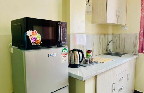 Ngelani Apartment | Aster Executive homes