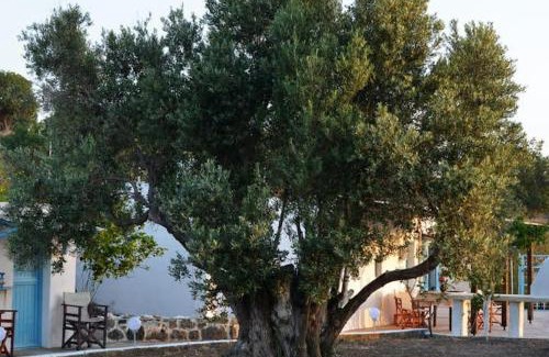 Mandraki House | «Astrofeggia» A private stone house Nature-Seaview