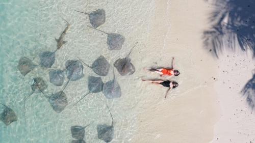 Guraidhoo Hotel | Athens View Hotel