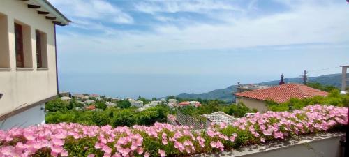 Zagora Villa | Athina's Villa Uphill