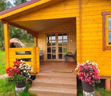 Tervete House | Atpūta Priedītēs - koka namiņi pie Tērvetes Dabas parka ar zirgiem, ponijiem un dabas tuvumu