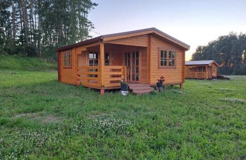 Tervete House | Atpūta Priedītēs - koka namiņi pie Tērvetes Dabas parka ar zirgiem, ponijiem un dabas tuvumu