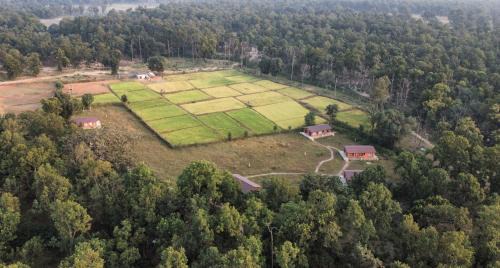 Umaria Hotel | Atulya Kanchi Camp Bandhavgarh