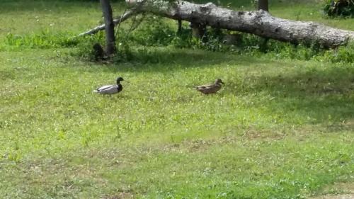 Avignon House | Au charme et à la campagne