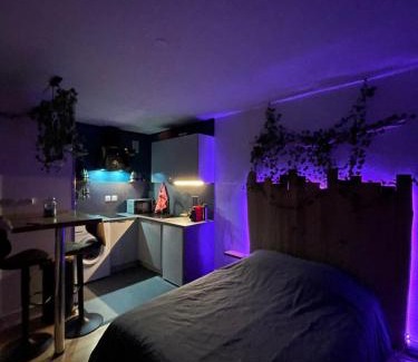 Erstein Apartment | Au Cosy Studio I proche Europapark