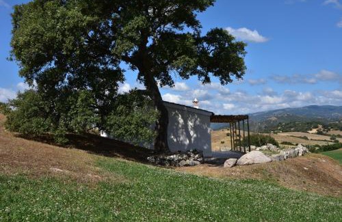 Galtelli Villa | Auberge Santu Martine Cottage with Pool (Ollastru)