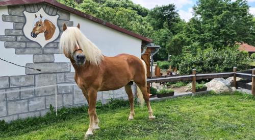Wernigerode Apartment | Auf dem Reiterhof