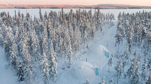 Rovaniemi Other | Aurora Igloo Fireplace-heated Tents in a secret forest with private Jacuzzi and shared sauna bathroom and dog friendly