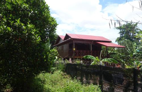 Siem Reap House | Authentic Cambodian Angkor Cottage