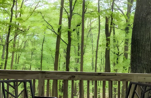 Berkeley Springs House | Autumn Wings - A Natural Retreat