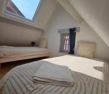 Auxerre Apartment | Aux'Cerfs - Vue imprenable Cathédrale