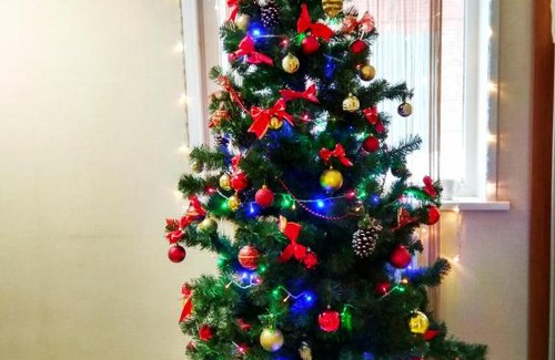 Novosibirsk City Centre Hotel | Avenu Hotel