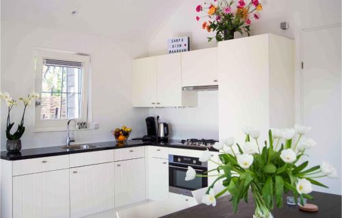 Zwanegat House | Awesome Home In Strijen With Wifi