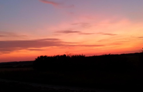 Vejle Municipality Bed & Breakfast | Bøgehus