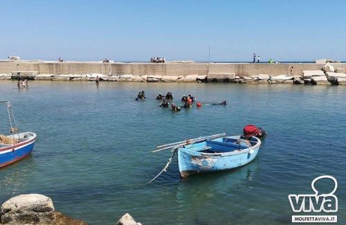 Molfetta House | B&B Al Duomo Molfetta