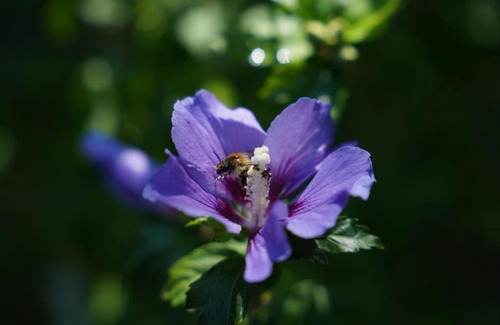 Echternach Bed & Breakfast | B&B Alferweiher