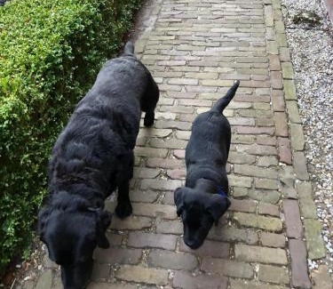 Sint Maarten Bed & Breakfast | B&B Be Our Guest