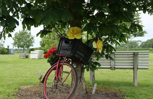 Sommelsdijk Bed & Breakfast | B&B Buutegeweun
