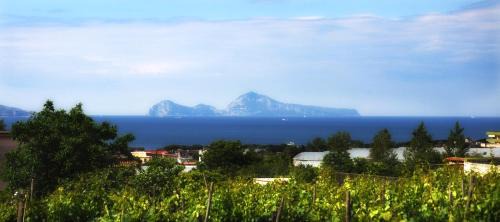 Trecase Bed & Breakfast | B&B Casa di Donna