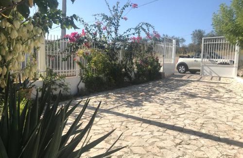 Monte Sant'Angelo Apartment | B&B Case Vacanza Orchidea marina di Macchia a Mattinata Gargano