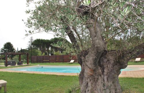 Cannara Bed & Breakfast | B&B Cuor Di Lavanda