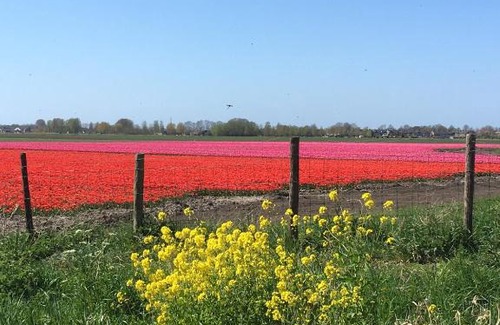Wervershoof Bed & Breakfast | B&B De Kamer