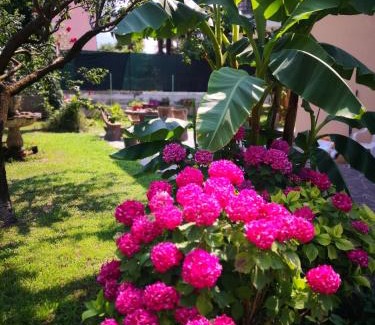 Bolognano-Vignole Bed & Breakfast | B&B Esmeralda