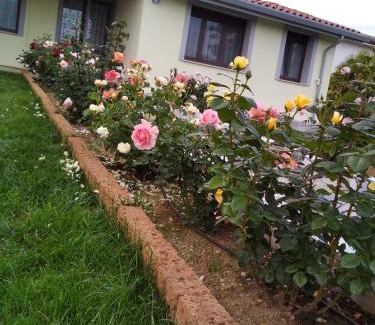 Farra dʼlsonzo Bed & Breakfast | B&B Fili d'erba