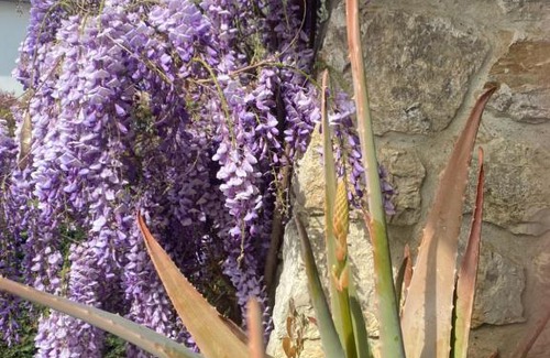Casalguidi Bed & Breakfast | B&B Fior Di Toscana