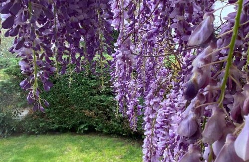 Casalguidi Bed & Breakfast | B&B Fior Di Toscana
