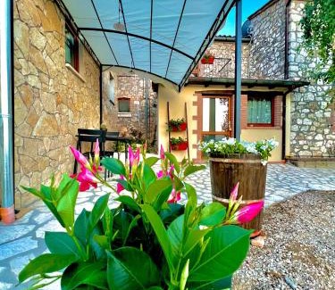 Alviano Bed & Breakfast | B&B Fontanelle