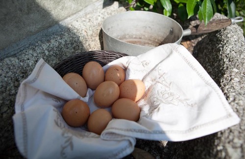 Mergozzo Bed & Breakfast | B&B I Corni di Nibbio