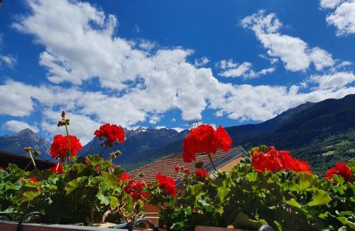 Malonno Bed & Breakfast | B&B Il Pettirosso